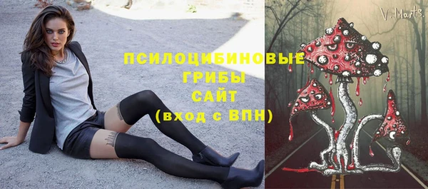 мдпв Вязники