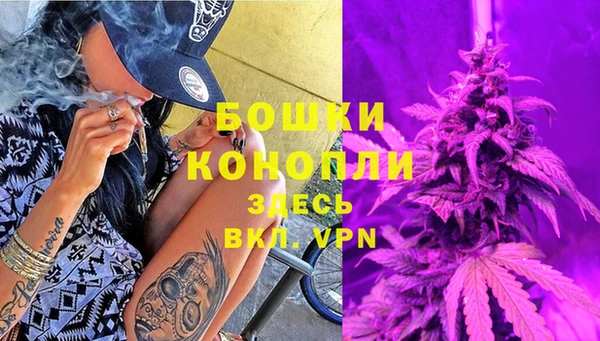мдпв Вязники