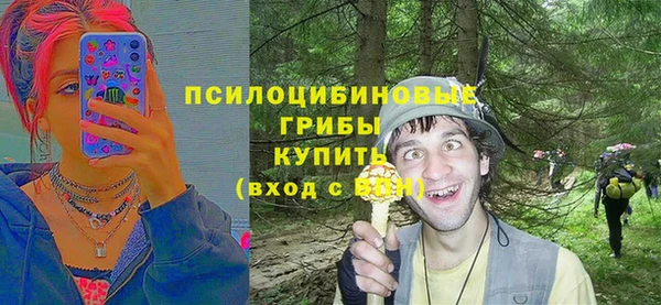 2c-b Вяземский