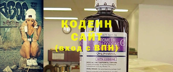 мдпв Вязьма