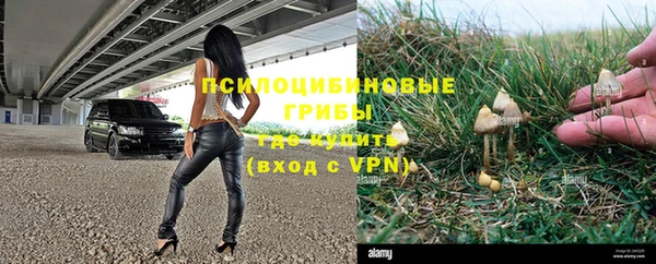 2c-b Вяземский